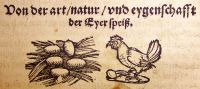 Bild 5 - Holzschnitt aus Walter Ryff, 1544: Das eyer weiss schwachen blden (kranken)	leuten nit gegeben werden soll.